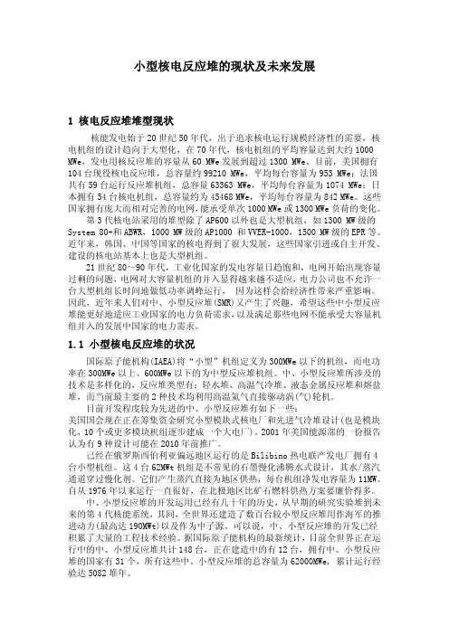 小型核电反应堆的现状及未来发展