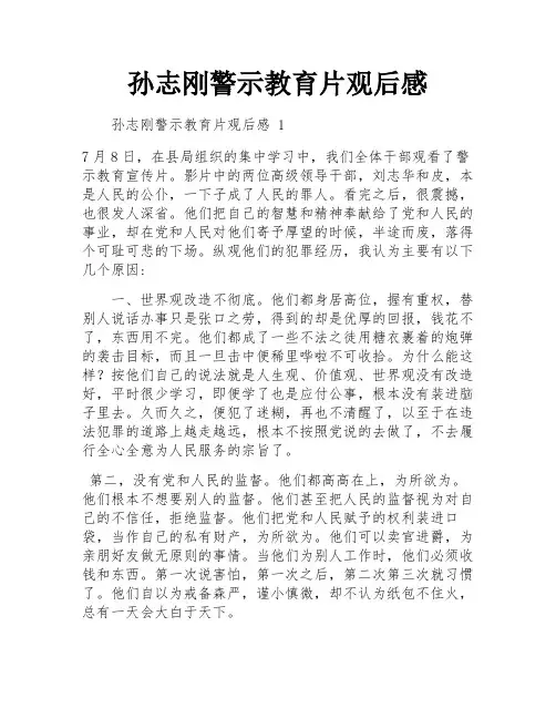 孙志刚警示教育片观后感