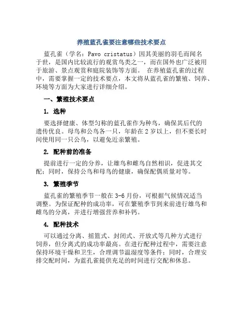 养殖蓝孔雀要注意哪些技术要点