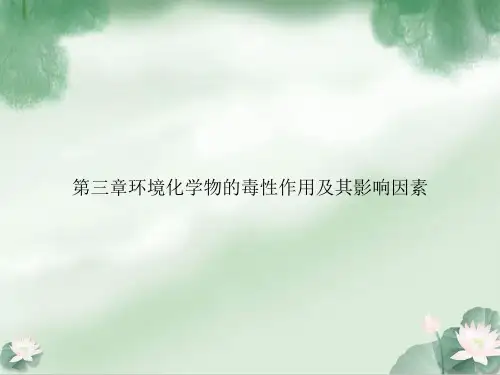 第三章环境化学物的毒性作用及其影响因素