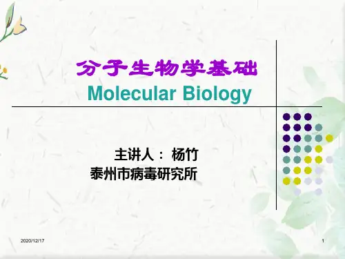 有关分子生物的ppt