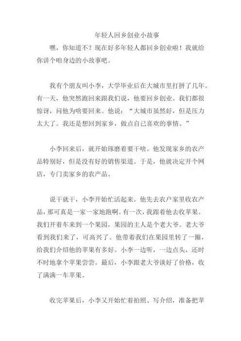 年轻人回乡创业小故事