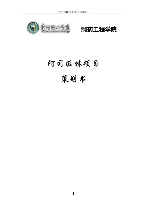 阿司匹林项目策划(模板1)