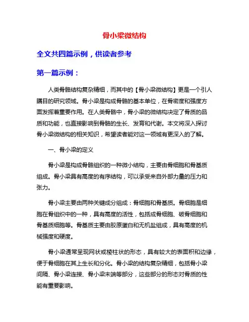 骨小梁微结构
