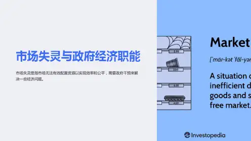 市场失灵与政府经济职能