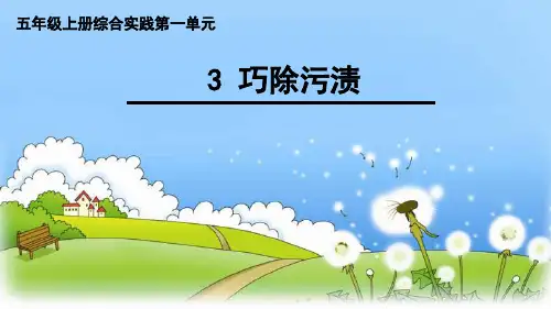 巧除污渍教学课件