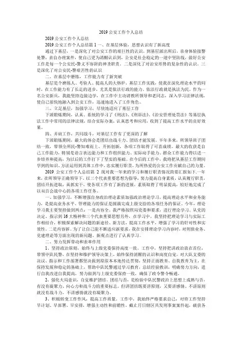 2019公安工作个人总结