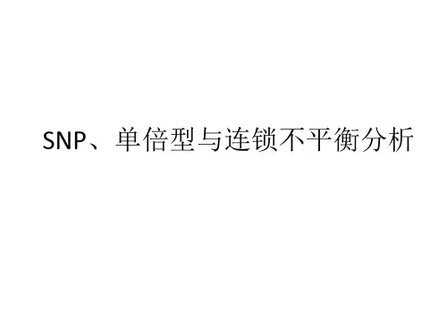 SNP、单倍型与连锁不平衡分析