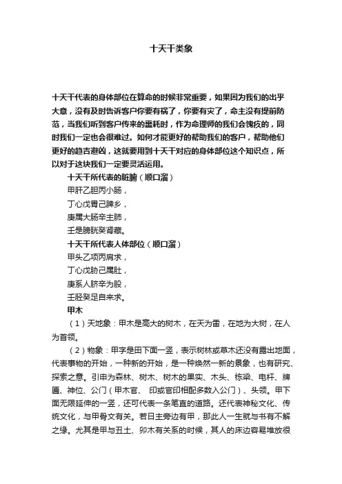 十天干类象