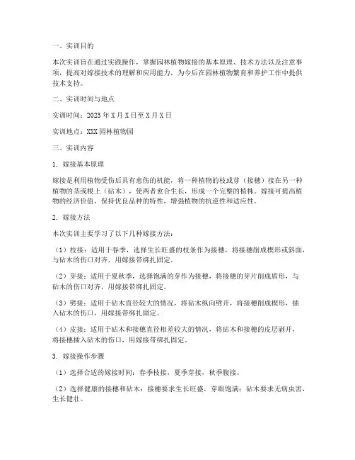 园林植物嫁接实训报告