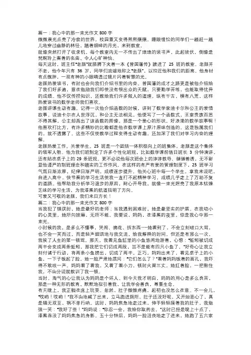 我心中的那一束光作文