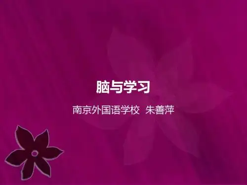 脑与学习 (2)