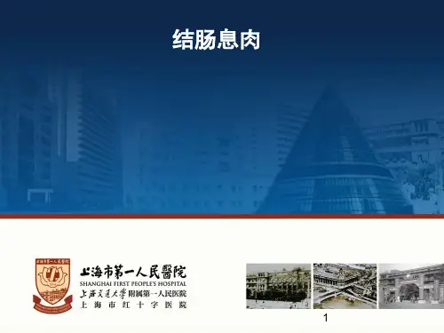 结肠息肉PPT课件