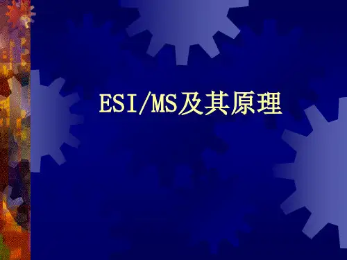 ESIMS及其原理.ppt