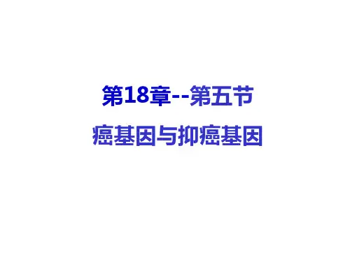 生物化学与分子生物学：第五节 癌基因与抑癌基因