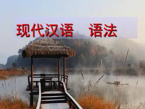 现代汉语  语法1