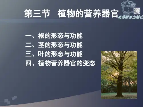 植物生产与环境第一章