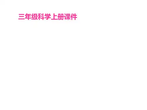 【金鱼(教科版)三年级科学上册精品PPT课件