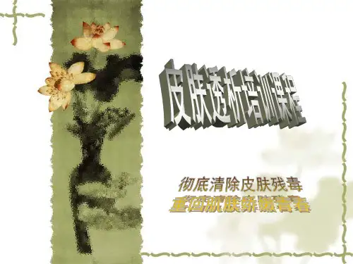 皮肤透析