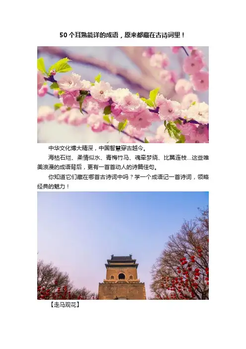 50个耳熟能详的成语，原来都藏在古诗词里！