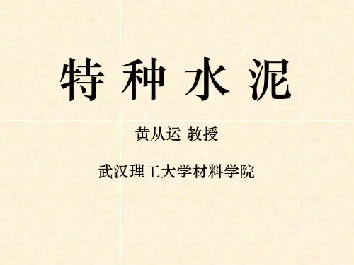 特种水泥