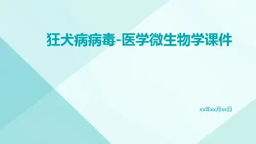 狂犬病病毒-医学微生物学课件