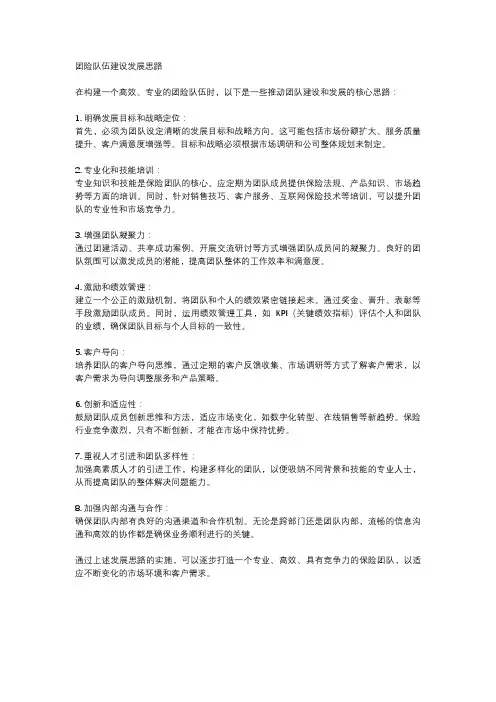 团险队伍建设发展思路