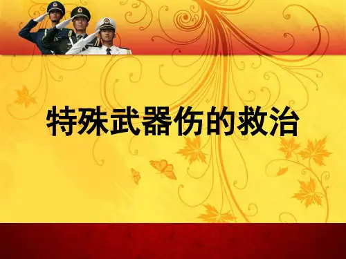 特殊武器伤救治 PPT课件