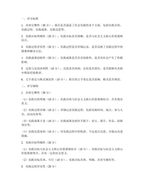社会实践报告评委打分