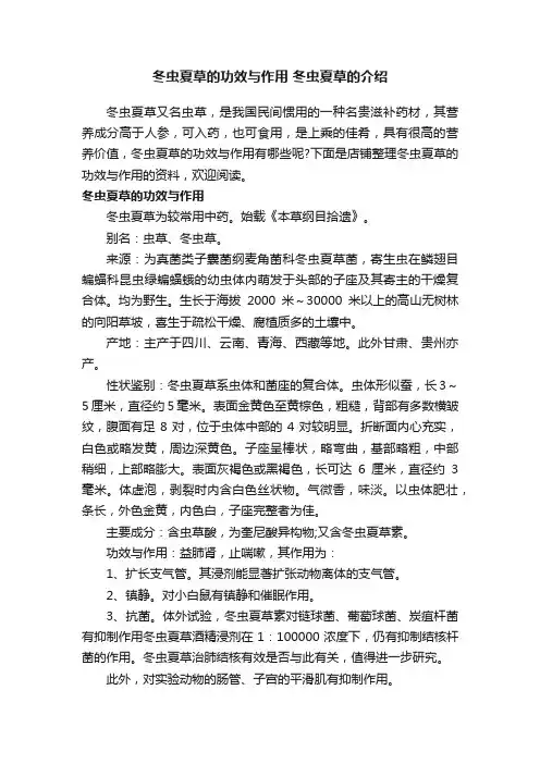 冬虫夏草的功效与作用冬虫夏草的介绍