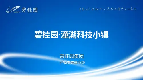 2017碧桂园潼湖科技小镇介绍