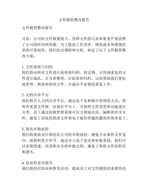 文件精简整改报告
