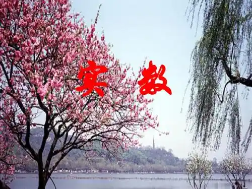 人教版八年级数学《实数》