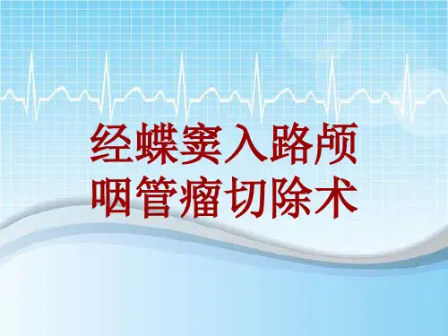 手术讲解模板：经蝶窦入路颅咽管瘤切除术