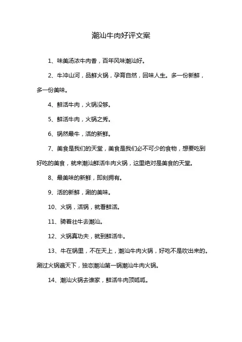 潮汕牛肉好评文案
