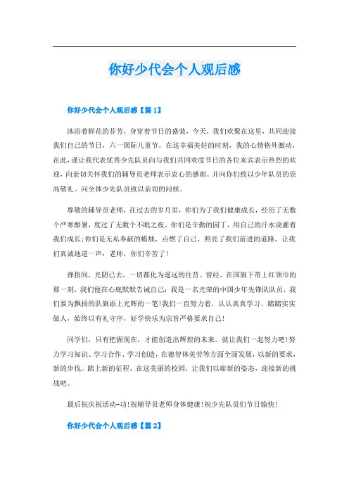 你好少代会个人观后感