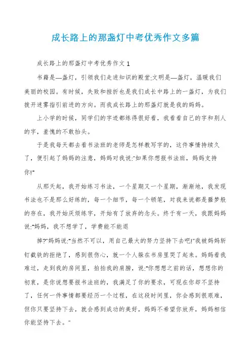 成长路上的那盏灯中考优秀作文多篇