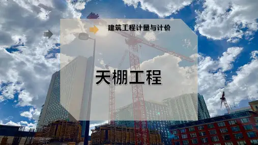 天 棚 工 程