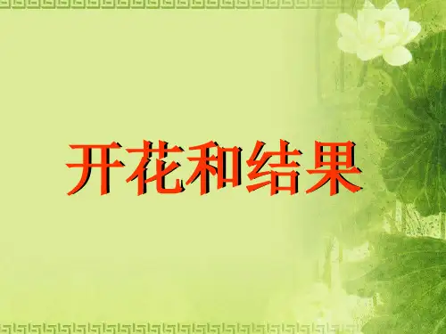 开花和结果PPT课件(说课) 人教版