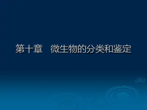 微生物的分类和鉴定