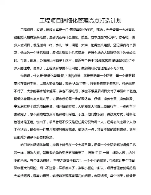 工程项目精细化管理亮点打造计划