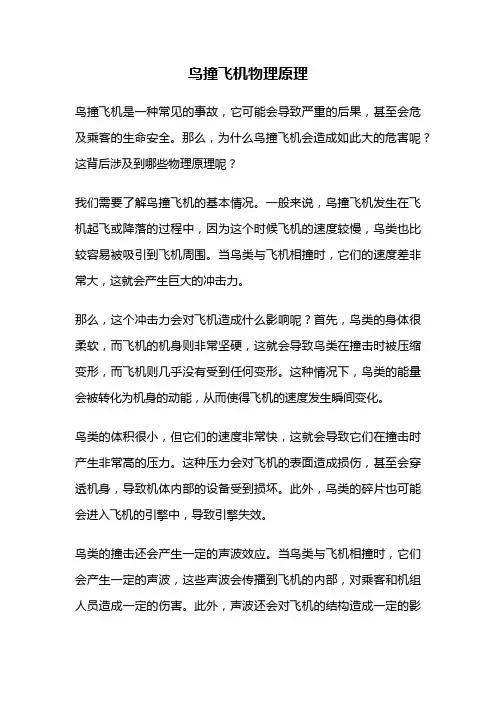 鸟撞飞机物理原理