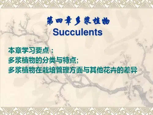 第四章 多浆植物 (NXPowerLite)