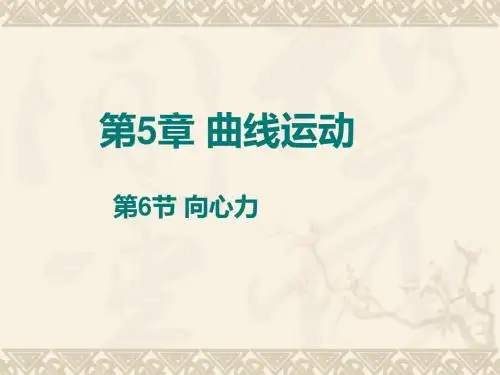 新人教版高中物理必修二 5.6 向心力 课件 (共27张PPT)