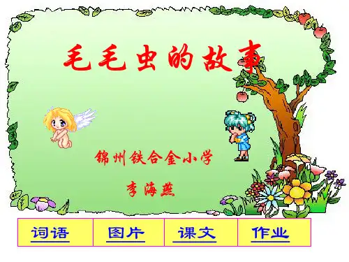 毛毛虫的故事ppt课件