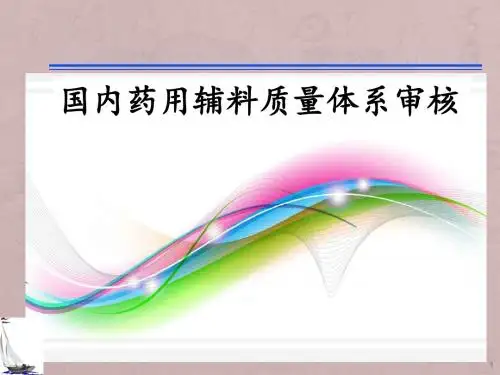 国内药用辅料质量体系审核ppt课件