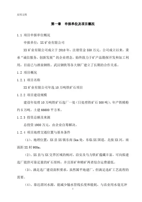 铁矿石选矿厂项目可行性研究报告