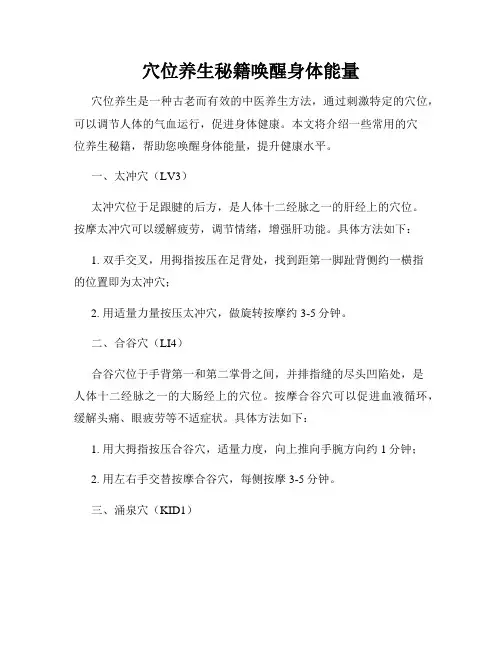 穴位养生秘籍唤醒身体能量