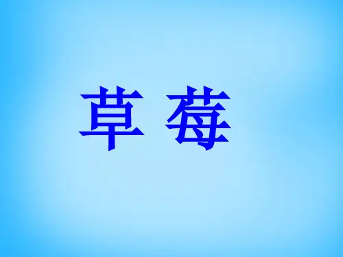 公开课教案教学设计课件语文版初中语文九上《草莓》PPT课件-(四)