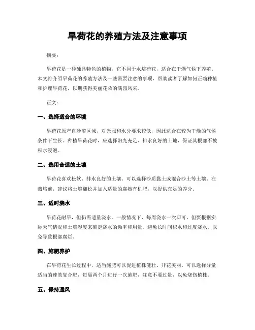 旱荷花的养殖方法及注意事项